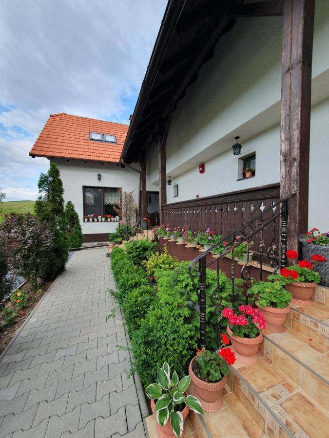 Casa Cu Pridvor Hotel Băile Felix Exterior photo